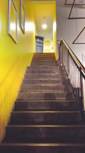 Peaches-in-the-Wild-JB-Hive-stairs