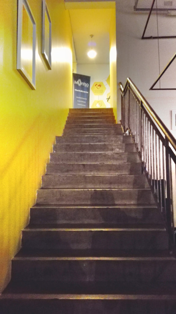 Peaches-in-the-Wild-JB-Hive-stairs