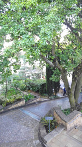 Peaches-in-the-Wild-Four-Seasons-outside