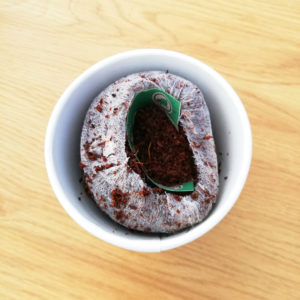Mugg & Bean Eco Cup