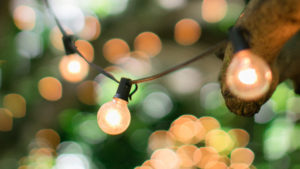 peaches-in-the-wild-valentines-day-header